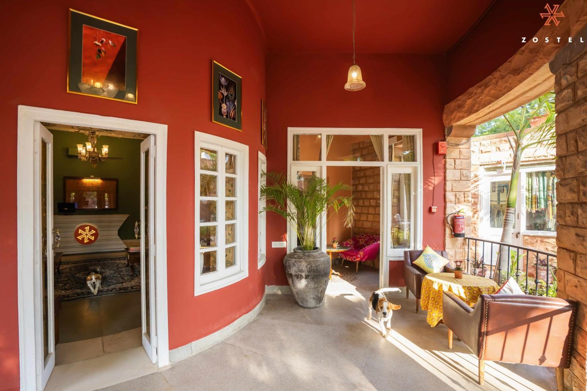 Zostel Jodhpur Vandrarhem Jodhpur  Exteriör bild